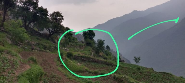 उत्तरकाशी जिले के भटवाड़ी ब्लॉक मे भालू का आंतक देहसत मे ग्रमीण