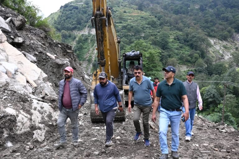 जिलाधिकारी प्रशांत आर्य ने  आपदा प्रभावित क्षेत्रों का स्थलीय निरीक्षण